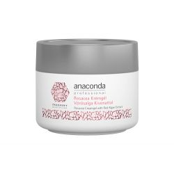 Anaconda Professional -...